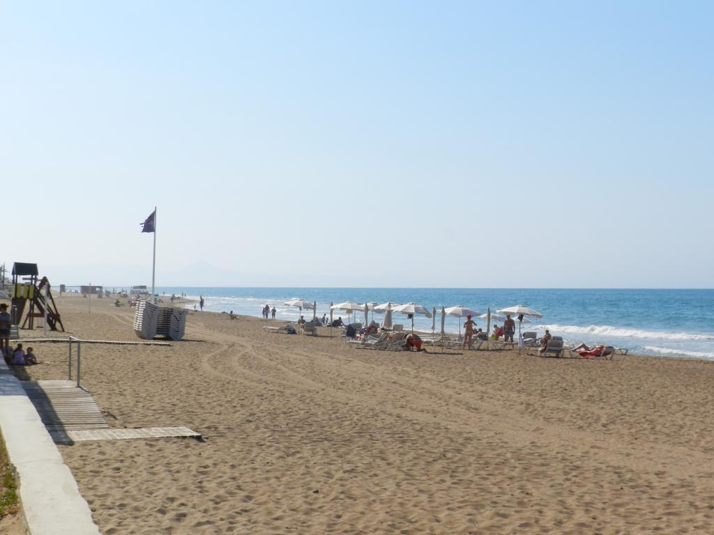 Apartamento Palm Beach 데니아 외부 사진
